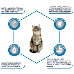 Affinity Advance Adult Huhn & Reis - Katze -Almo nature Verkäufe affinity advance adult kip en rijst kat 178249 0500 none