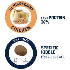 Affinity Advance Adult Huhn & Reis - Katze -Almo nature Verkäufe affinity advance adult kip en rijst kat 178252 0500 none