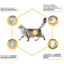 Affinity Advance Adult Salmon Sensitive - Katze -Almo nature Verkäufe affinity advance adult salmon sensitive kat 178666 0500 none