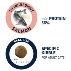 Affinity Advance Adult Salmon Sensitive - Katze -Almo nature Verkäufe affinity advance adult salmon sensitive kat 178669 0500 none