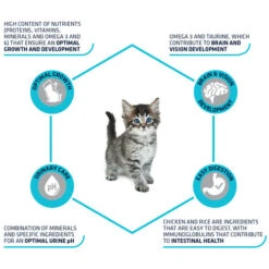 Affinity Advance Kitten Huhn Und Reis -Almo nature Verkäufe affinity advance kitten kip en rijst kat 178231 0500 none