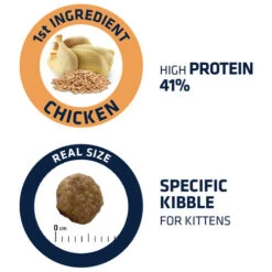 Affinity Advance Kitten Huhn Und Reis -Almo nature Verkäufe affinity advance kitten kip en rijst kat 178234 0500 none