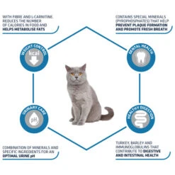 Affinity Advance Sterilized Pute - Katze -Almo nature Verkäufe affinity advance sterilized kalkoen kat 178201 0500 none