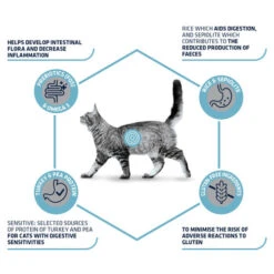 Affinity Advance Veterinary Diets Gastroenteric Sensitive Katze -Almo nature Verkäufe affinity advance veterinary diets gastroenteric sensitive kat 178045 0500 none