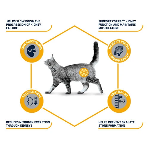 Affinity Advance Veterinary Diets Renal Katze 9 Affinity Advance Veterinary Diets Renal Katze – Bild 7