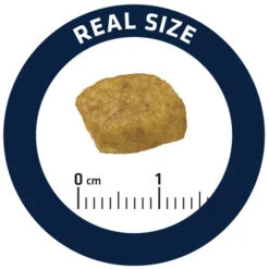 Affinity Advance Veterinary Diets Renal Katze 14 Affinity Advance Veterinary Diets Renal Katze -Almo nature Verkäufe affinity advance veterinary diets renal kat 176890 0500 none