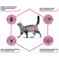 Affinity Advance Veterinary Diets Urinary Katze 21 Affinity Advance Veterinary Diets Urinary Katze -Almo nature Verkäufe affinity advance veterinary diets urinary kat 176905 0500 none