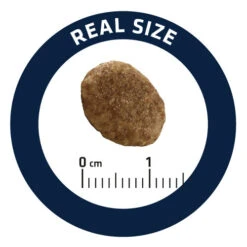 Affinity Advance Veterinary Diets Urinary Katze 20 Affinity Advance Veterinary Diets Urinary Katze -Almo nature Verkäufe affinity advance veterinary diets urinary kat 176911 0500 none