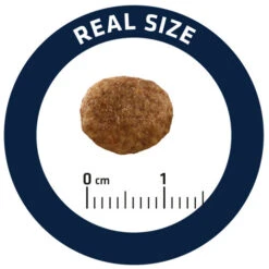 Affinity Advance Veterinary Diets Urinary Stress Katze -Almo nature Verkäufe affinity advance veterinary diets urinary stress kat 176821 0500 none