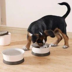 Curver Petlife Food Travelkit -Almo nature Verkäufe curver petlife food travelkit 220776 0500 none