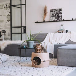 District 70 Bunker 14 District 70 Bunker -Almo nature Verkäufe district 70 bunker 190954 0500 none