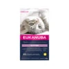 Eukanuba Kitten Healthy Start -Almo nature Verkäufe eukanuba kitten healthy start 197471 0500 none