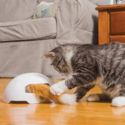 FroliCat Fox -Almo nature Verkäufe frolicat fox 136594 0500 none