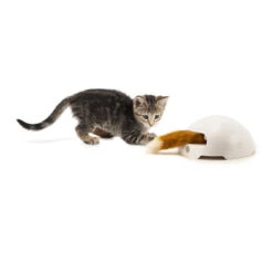 FroliCat Fox -Almo nature Verkäufe frolicat fox 136600 0500 none