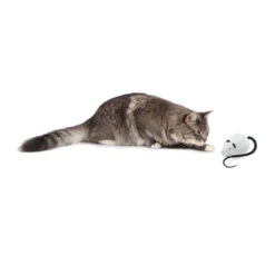 FroliCat RoloRat -Almo nature Verkäufe frolicat rolorat 136588 0500 none