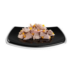 GimCat ShinyCat Filet 33 GimCat ShinyCat Filet -Almo nature Verkäufe gimcat shinycat filet 158201 0500 none