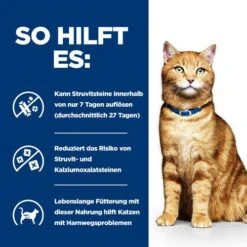 Hill's C/d Multicare - Prescription Diet - Feline -Almo nature Verkäufe hills cd multicare prescription diet feline 218232 0500 none