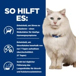 Hill's C/d Urinary Stress Ragout - Prescription Diet - Feline -Almo nature Verkäufe hills cd urinary stress stoofpotje prescription diet feline 211598 0500 none