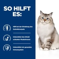 Hill's J/d Joint Care -Prescription Diet - Feline -Almo nature Verkäufe hills jd joint care prescription diet feline 218222 0500 none