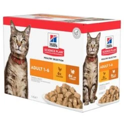 Hill's Science Plan - Feline Adult - Chicken/Poultry -Almo nature Verkäufe hills science plan feline adult chickenpoultry 143024 0500 none