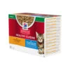 Hill's Science Plan - Healthy Cuisine - Kitten -Almo nature Verkäufe hills science plan healthy cuisine stoofpotjes kitten 201671 0500 none