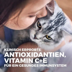 Hill's Science Plan Kitten Perfect Digestion Katzenfutter 13 Hill's Science Plan Kitten Perfect Digestion Katzenfutter -Almo nature Verkäufe hills science plan kitten perfect digestion kattenvoer 213077 0500 none