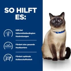 Hill's Z/d Food Sensitivities - Prescription Diet - Feline 19 Hill's Z/d Food Sensitivities - Prescription Diet - Feline -Almo nature Verkäufe hills zd food sensitivities prescription diet feline 217906 0500 none