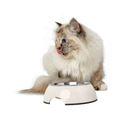 Hunter Melamin Napf - Weiß -Almo nature Verkäufe hunter melamine voer en drinkbak wit 169570 0500 none