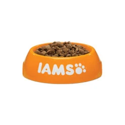 IAMS For Vitality Cat Adult Fish & Chicken -Almo nature Verkäufe iams cat adult fish chicken 133718 0500 none
