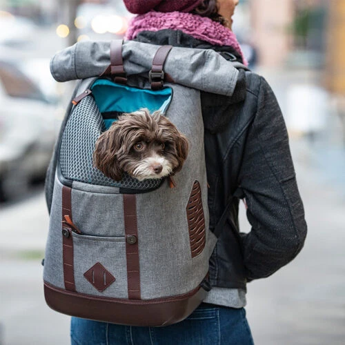 Kurgo K9 Rucksack 6 Kurgo K9 Rucksack – Bild 4