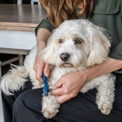 Mikki Doodle De-Matter -Almo nature Verkäufe mikki doodle de matter 194483 0500 none