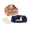 Perfect Petzzz Soft Schwarzweiße Katze -Almo nature Verkäufe perfect petzzz soft zwart met witte kat 150796 0500 none