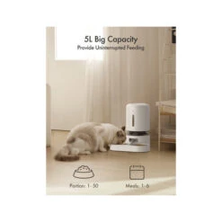 Petlibro Granary Dual Food Tray -Almo nature Verkäufe petlibro granary dual food tray 221350 0500 none