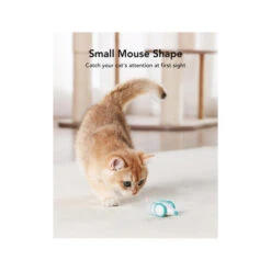 Petlibro Pixie Mouse -Almo nature Verkäufe petlibro pixie mouse 221373 0500 none