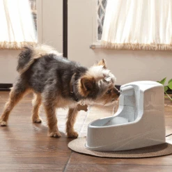 Petsafe Drinkwell Mini-Trinkbrunnen 8 Petsafe Drinkwell Mini-Trinkbrunnen -Almo nature Verkäufe petsafe drinkwell mini drinkfontein 12 l 208061 0500 none