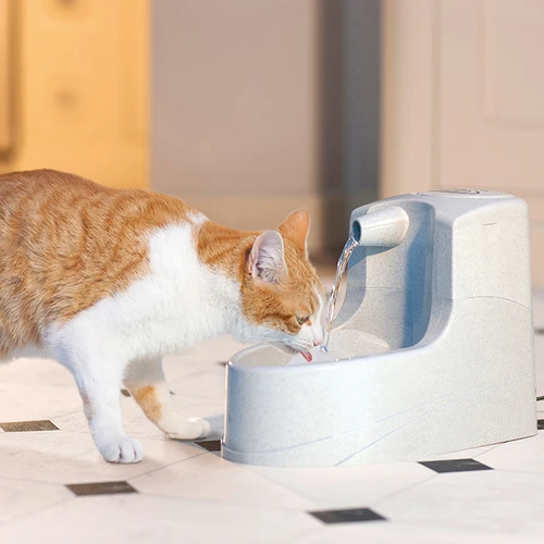 Petsafe Drinkwell Mini-Trinkbrunnen 4 Petsafe Drinkwell Mini-Trinkbrunnen – Bild 2