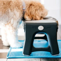 Popware Pet Bowl Grippmat -Almo nature Verkäufe popware pet bowl grippmat 164719 0500 none