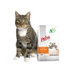 Prins VitalCare Multicat -Almo nature Verkäufe prins vitalcare multicat 172366 0500 none