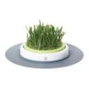Catit Senses Katzengrassamenset -Almo nature Verkäufe product catit senses grass garden none 4 1465980046 69879