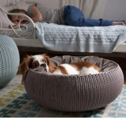 Curver Cozy Pet Bed 9 Curver Cozy Pet Bed -Almo nature Verkäufe product curver petlife cozy pet bed none 4 1470230115 72682