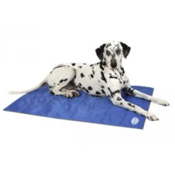 Scruffs Cooling Mat -Almo nature Verkäufe product scruffs cooling mat none 4 1472200004 76951