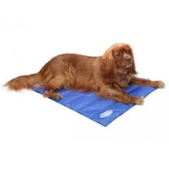 Scruffs Cooling Mat -Almo nature Verkäufe product scruffs cooling mat none 4 1472200005 76954