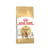 Royal Canin Adult Bengal - Katzenfutter -Almo nature Verkäufe royal canin adult bengal kattenvoer 174517 0500 none