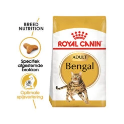 Royal Canin Adult Bengal - Katzenfutter -Almo nature Verkäufe royal canin adult bengal kattenvoer 175543 0500 none