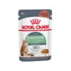 Royal Canin Digestive Care In Gravy - Katzenfutter -Almo nature Verkäufe royal canin digest sensitive in gravy kattenvoer 222130 0500 none