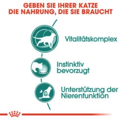 Royal Canin Instinctive 7+ In Gravy - Katzenfutter -Almo nature Verkäufe royal canin instinctive 7 in gravy kattenvoer 127868 0500 none