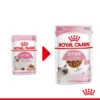 Royal Canin Kitten In Gravy - Katzenfutter -Almo nature Verkäufe royal canin kitten in gravy kattenvoer 207080 0500 none