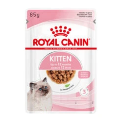 Royal Canin Kitten In Gravy - Katzenfutter -Almo nature Verkäufe royal canin kitten in gravy kattenvoer 207113 0500 none