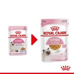 Royal Canin Kitten In Jelly - Katzenfutter -Almo nature Verkäufe royal canin kitten in jelly kattenvoer 207116 0500 none