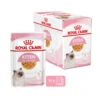 Royal Canin Kitten In Jelly - Katzenfutter -Almo nature Verkäufe royal canin kitten in jelly kattenvoer 207143 0500 none